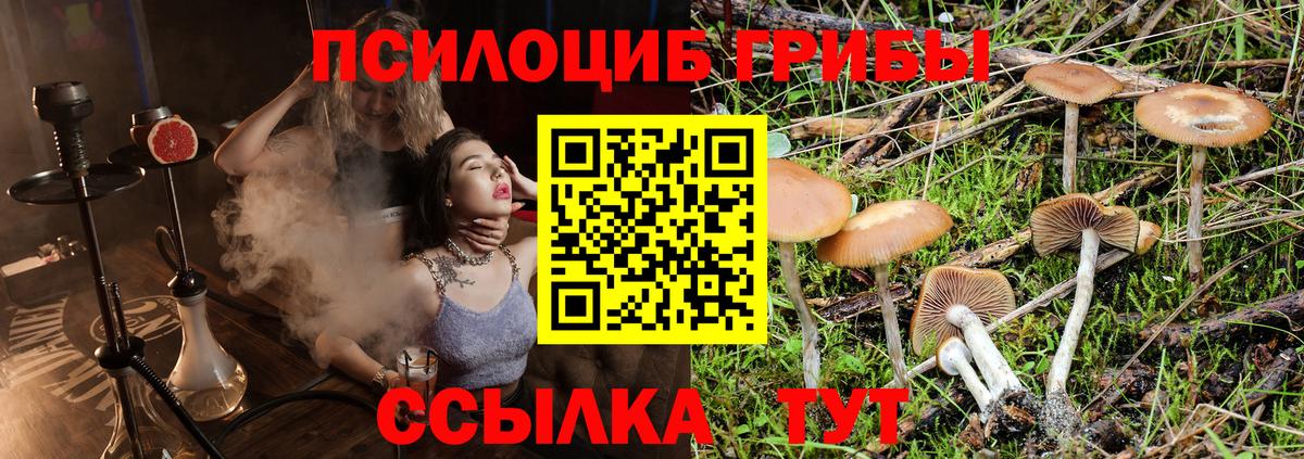 Галлюциногенные грибы мухоморы  Вход с VPN  Ипатово 